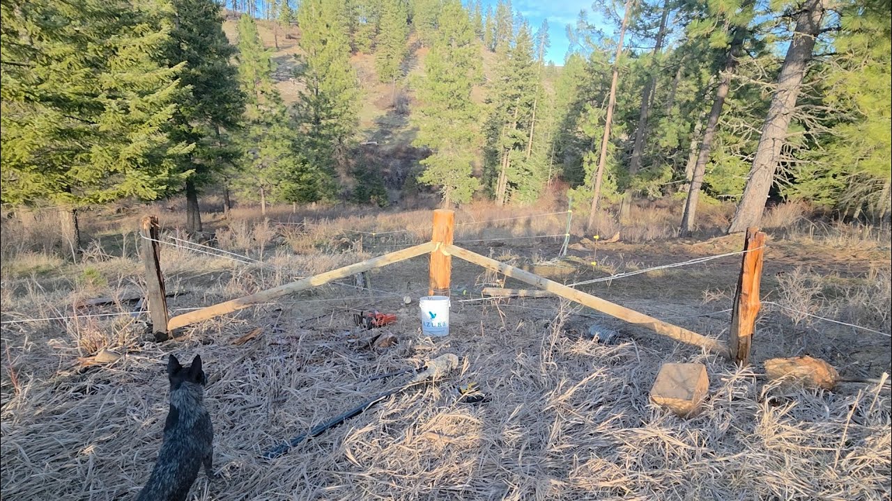A nother fence brace.