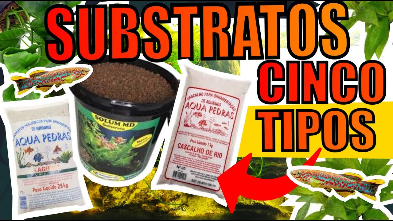🔴5 TIPOS DE SUBSTRATOS PARA AQUÁRIOS |Mr. Betta|