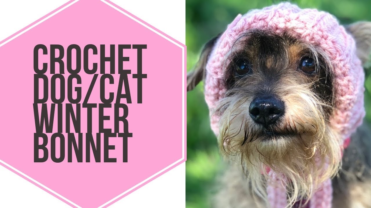 Crochet Dog/Cat Winter Bonnet
