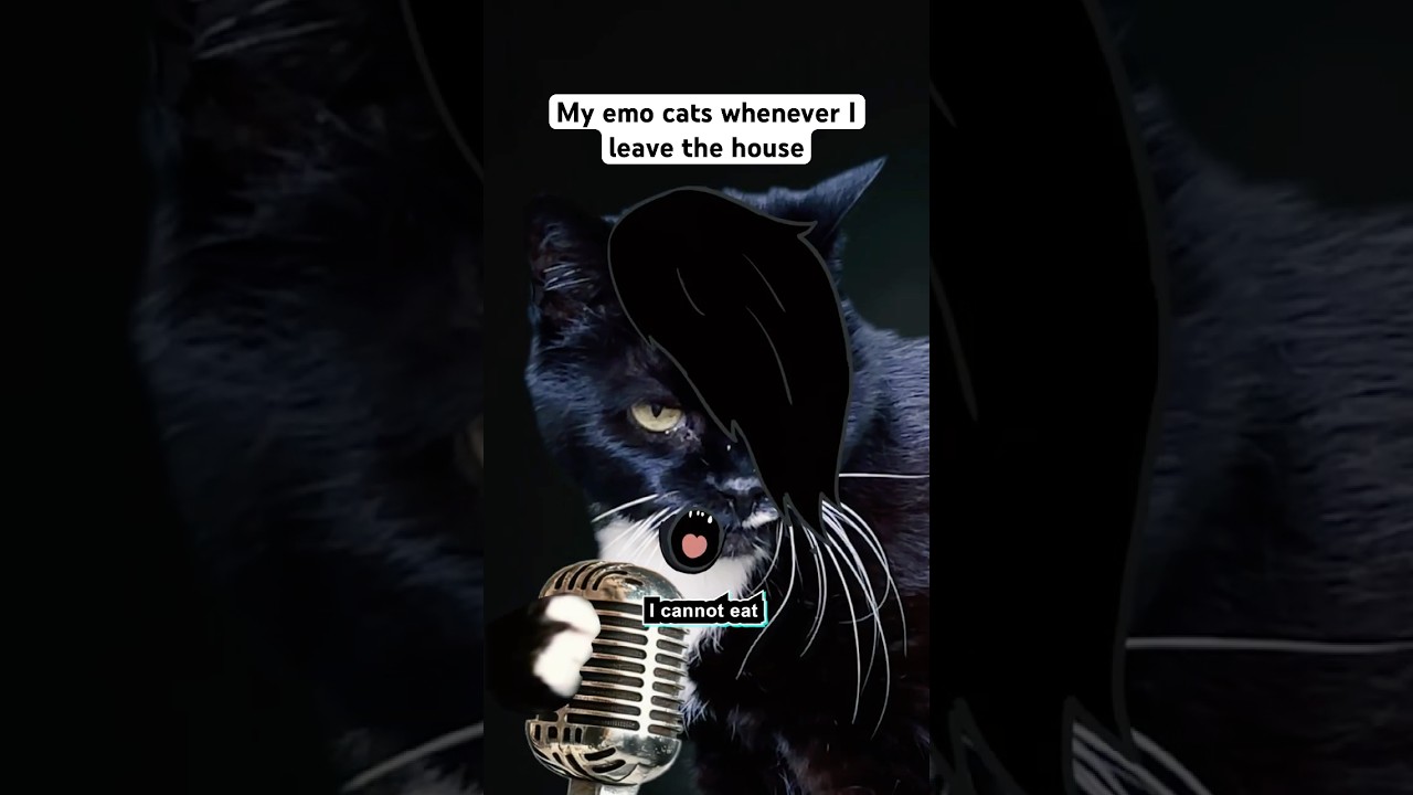 can&rsquo;t have a lyf 😭 #cats #parody #emo   #2000s #comedy