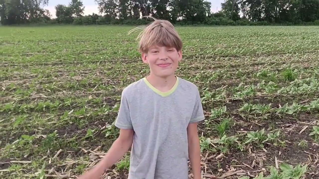 🌽 після 30-40гр. Геліантекса, соняшник Саксон після 50гр. Гранстару. Форсунки Eco Jer