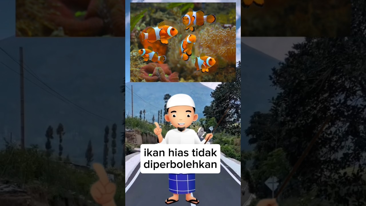 3 Kondisi pelihara ikan hias yang dilarang islam 