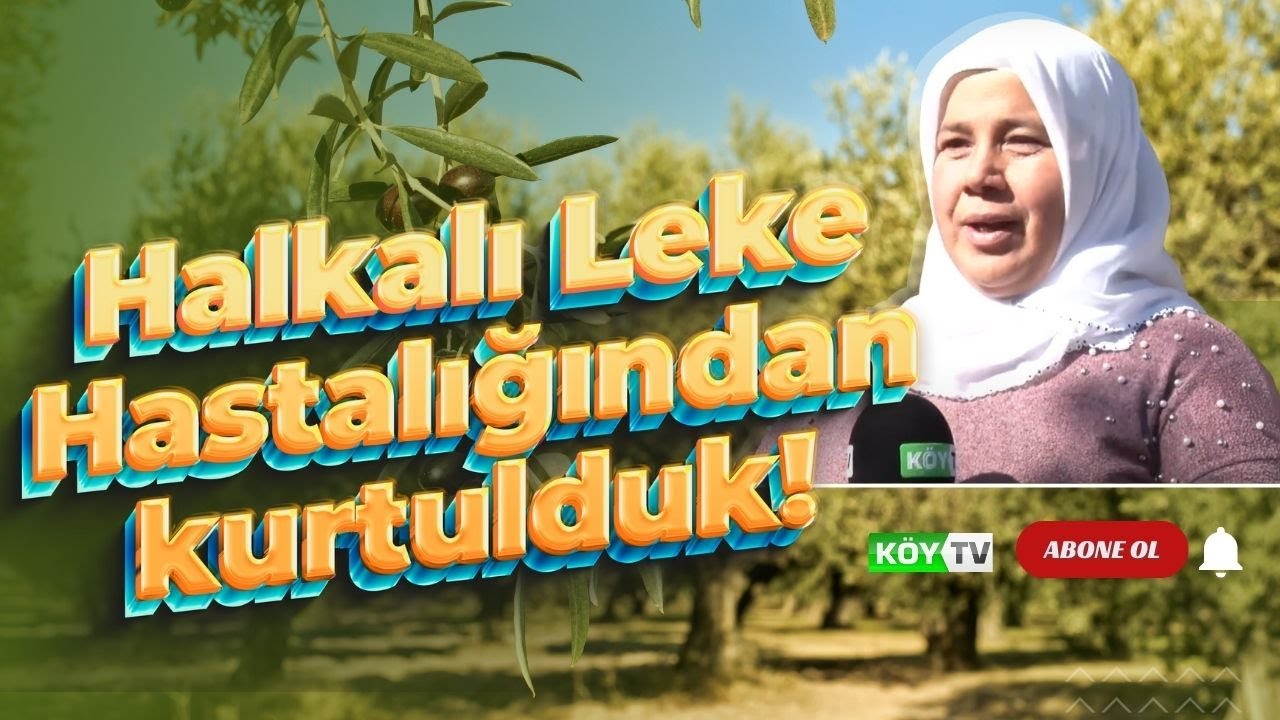 TARIMDA BAŞARI | SAHTE BİTKİ BESLEME ÜRÜNLERİNE KARŞI BİLİNMESİ GEREKENLER