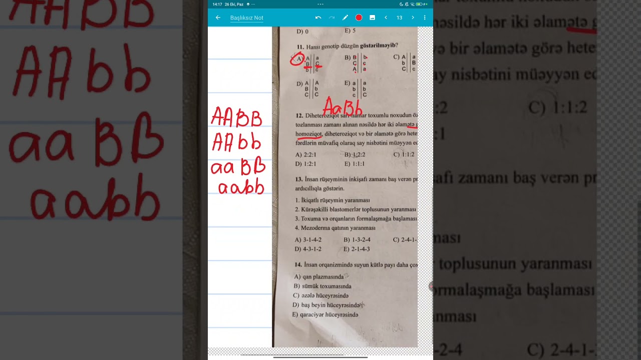 26.10.2025.Otk sınağı 11 sinif Biologiya 