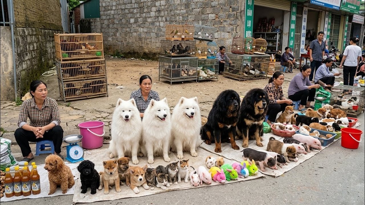  What&rsquo;s Inside a Traditional Animal Market in Vietnam?