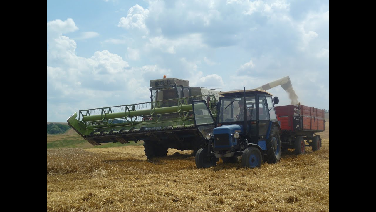 ŽNĚ 2015  - JEČMEN