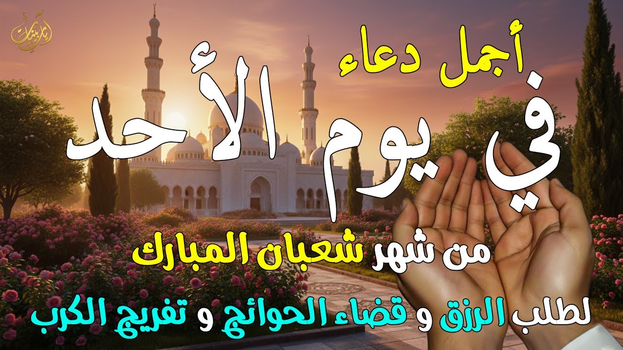 دعاء فى يوم الأحد المستجاب دعاء في يوم 20 من شهر شعبان للرزق والشفاء العاجل وقضاء الحوائج 🤲(4k)