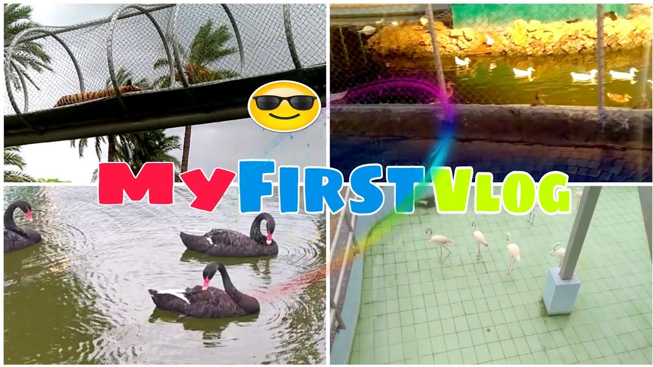 Full Enjoyment at 360 Zoo Multan | @Abeervlogsofficial #360#viral#multan #myfirstvlog#animallover