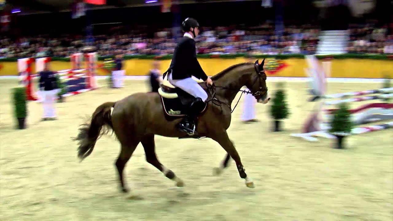 Livester *2011 by Lordanos - Carthago (Stallion Show Sosath 2016)