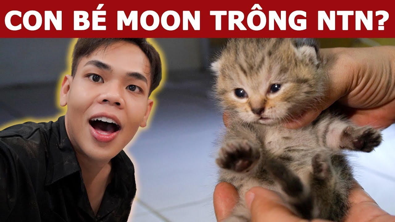 Con của bé Moon trông như thế nào? | Oops Banana Vlog 165
