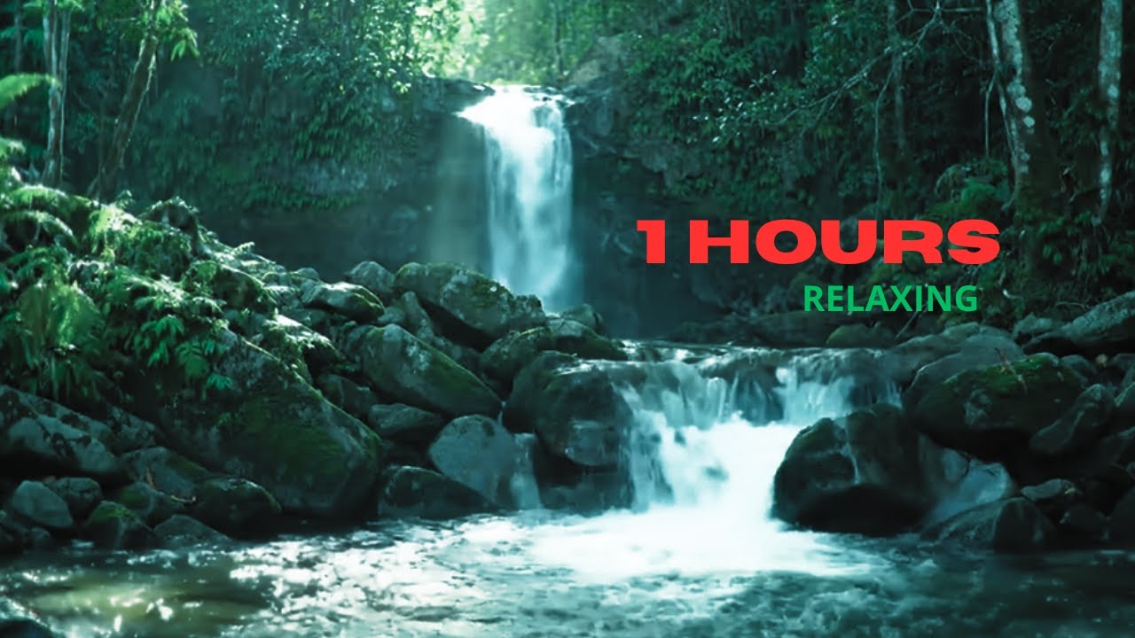 1 HOUR OF RELAXING SOUND OF FLOWING WATER IN THE RIVER, SLEEP AND STRESS THERAPY