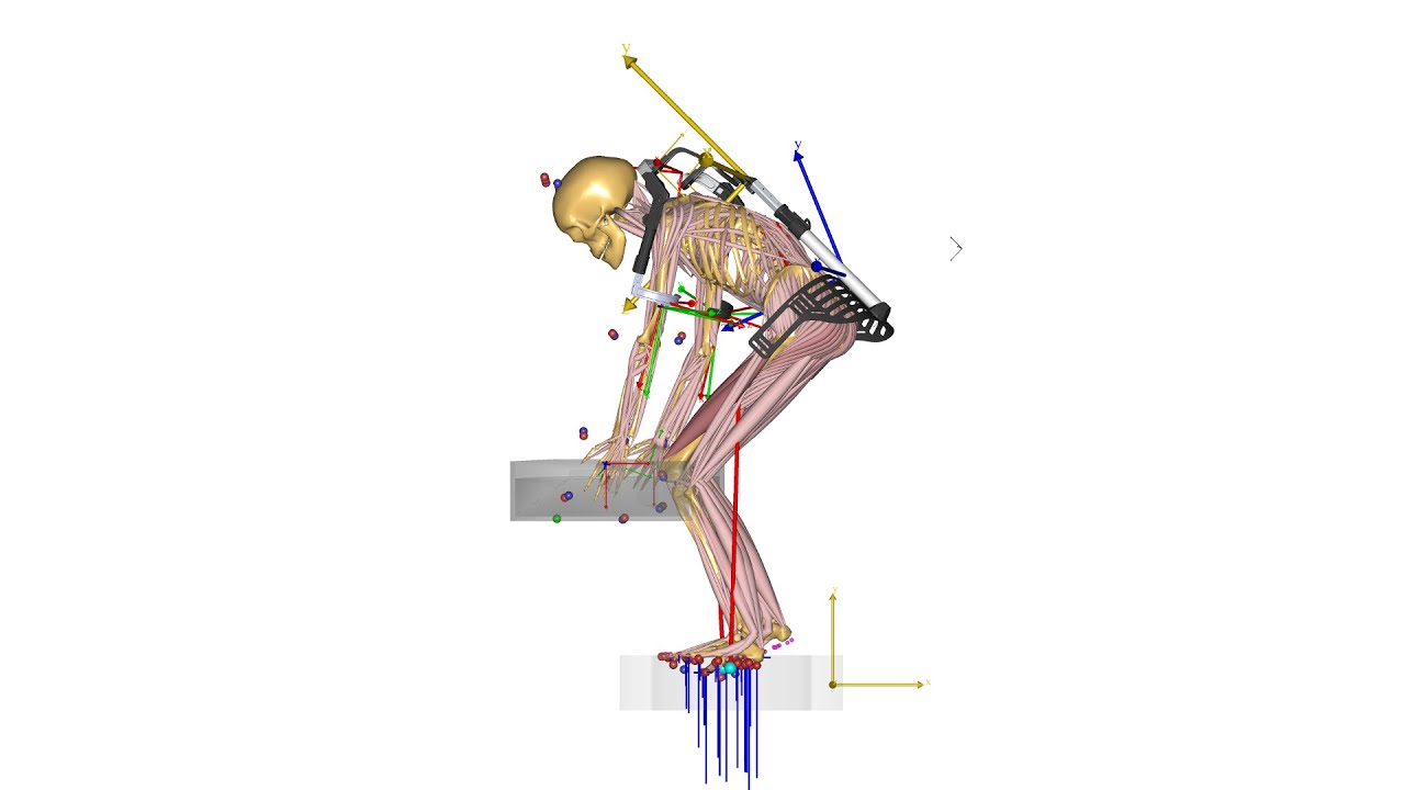 [Webcast] - Biomechanical investigation of a passive upper extremity exoskeleton for manual handling