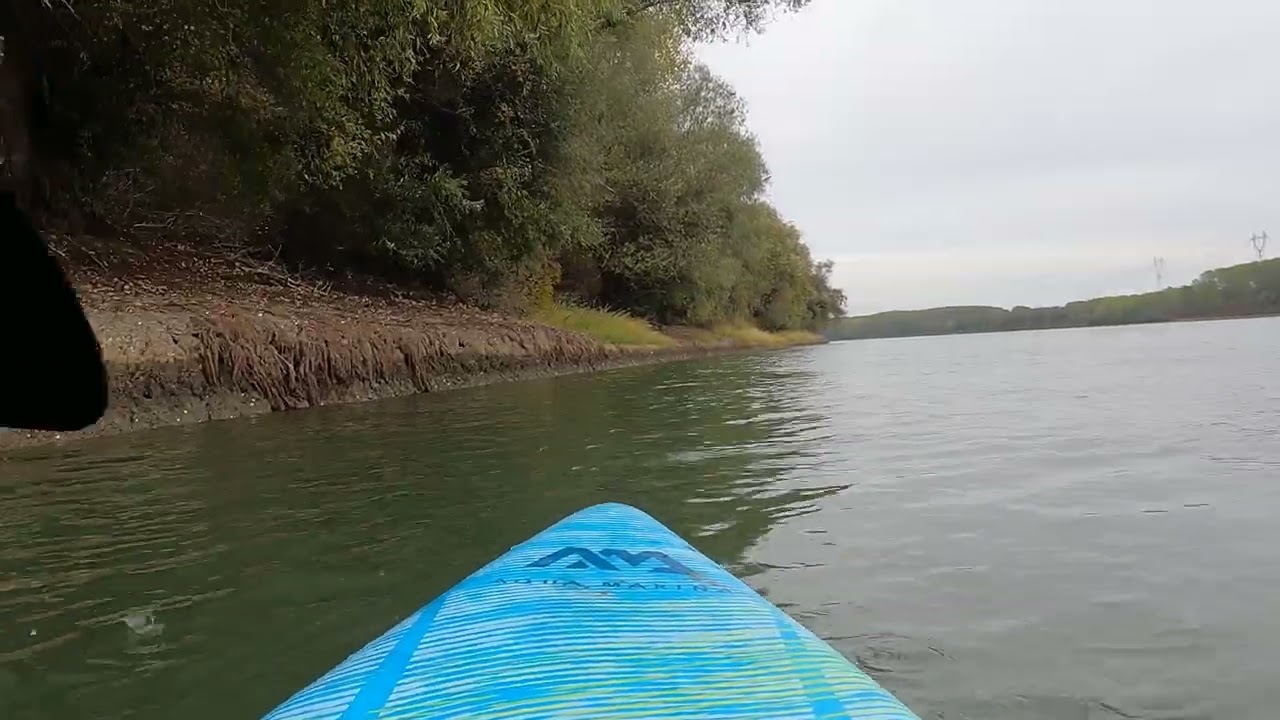 Natural paddle sounds in water  |  Danube SUP