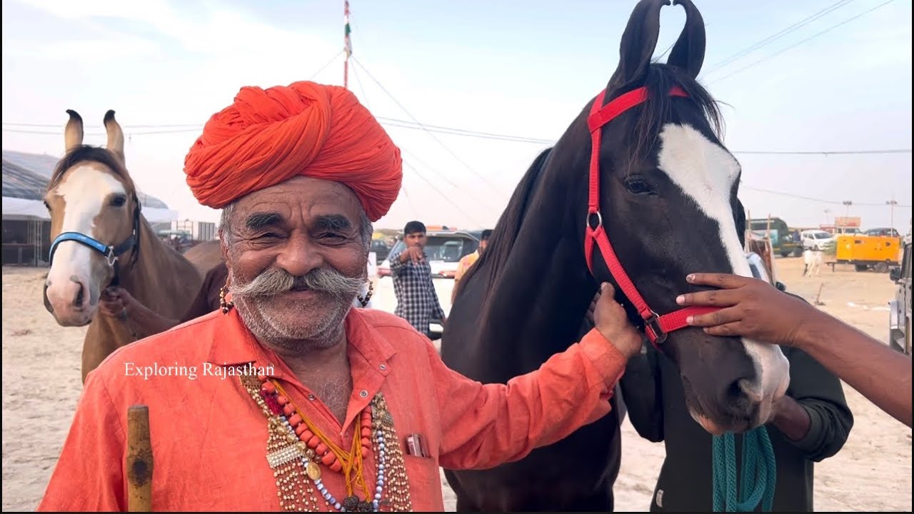मिठड़ी_मट जालौर से शानदार घोड़िया और कायनात का खूबसूरत बच्चा 