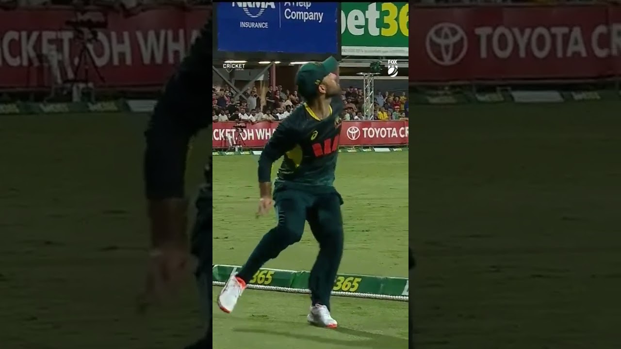 GLENN MAXWELL NO WAY 😱 #AUSvSA