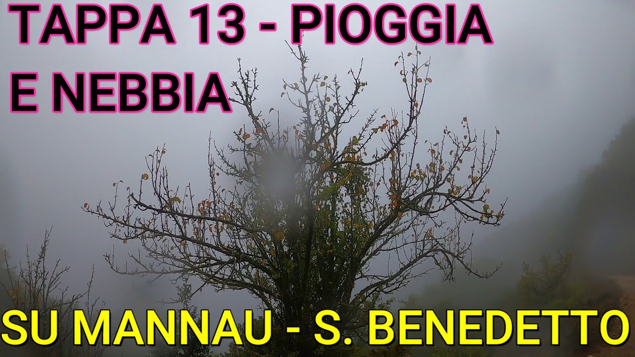 Cammino S. Barbara Tappa 13 - IL BOSCO SOTTO LA PIOGGIA È FANTASTICO 🌧️☔