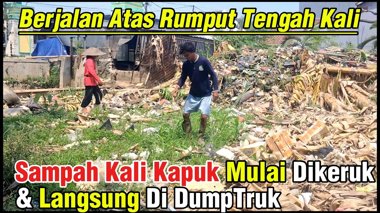 Kebun Rumput Diatas Sampah Kali Kapuk Mulai Dikeruk Excavator & Langsung Di Dumptruk #dedimulyadi