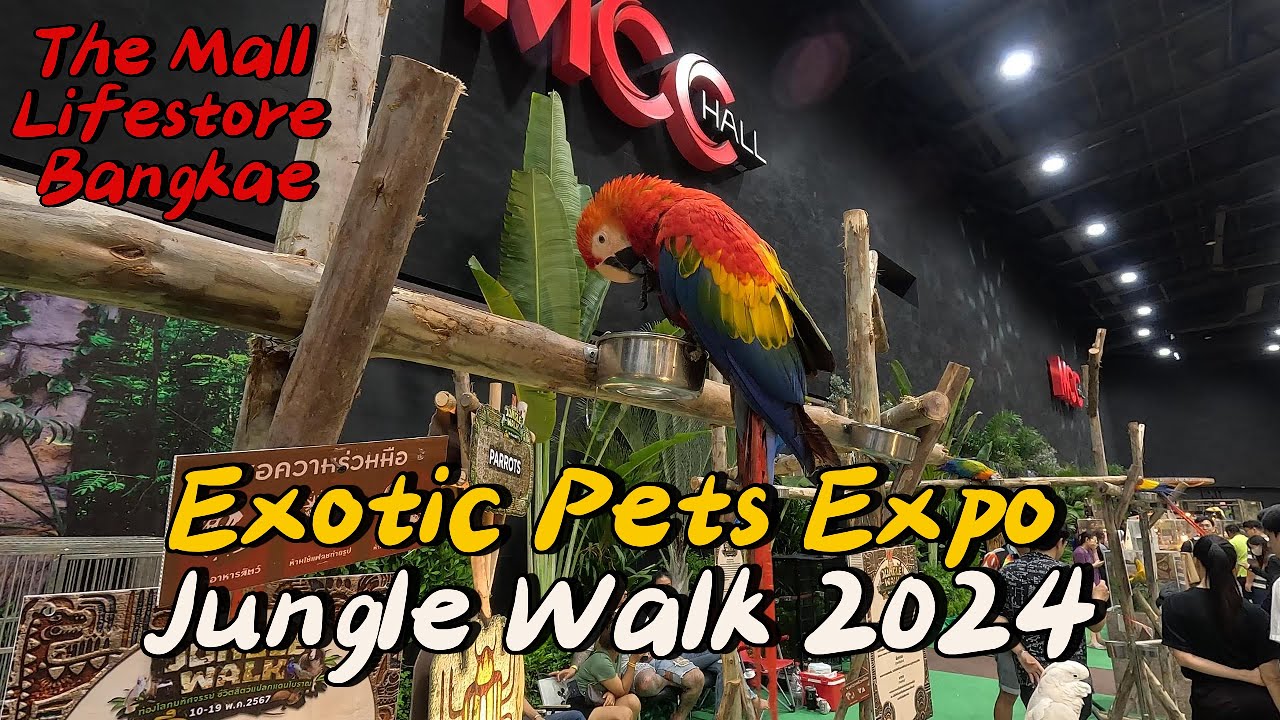 Thailand, Bangkok | Jungle Walk, exotic pets and animals expo - The Mall Lifestore Bangkae