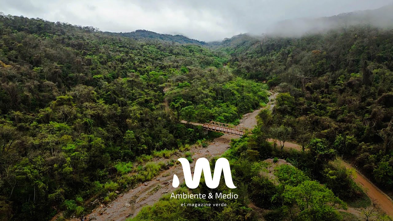 Ambiente y Medio - Programa 37 - 10ª Temporada - 14/12/2025