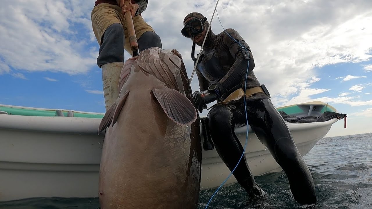 Mag Bay BAJA  Paraiso de la Pesca Submarina INOLVIDABLE VIAJE