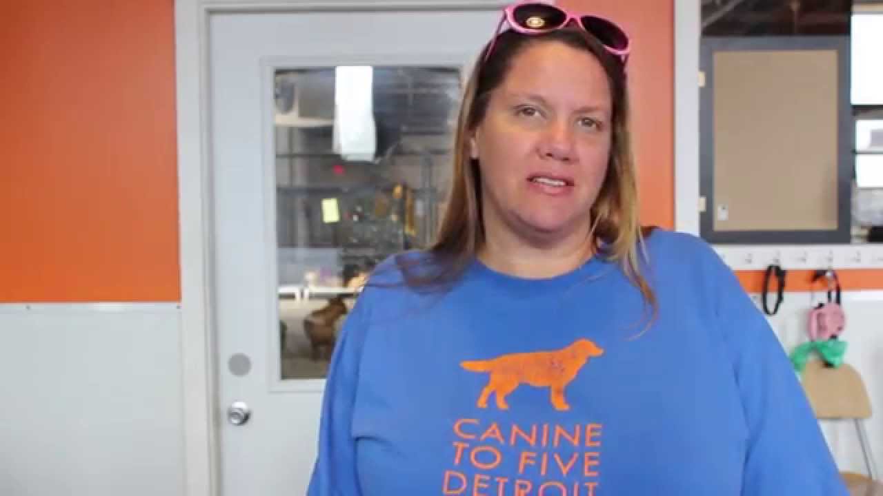 Canine to Five
