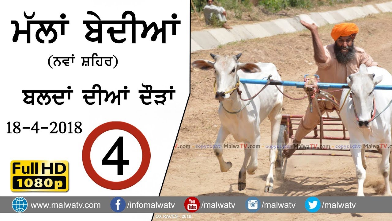 OX ਵੱਛੇ RACES  at MALLA BEDIAN ਮੱਲਾ ਬੇਦੀਆਂ  - 2018● Shift 4th● बैल गाड़ी की दौड़ें بیل گاڑی کی دوڑے- |