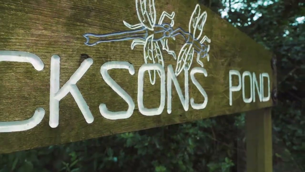 Willaston Lifestyle Film
