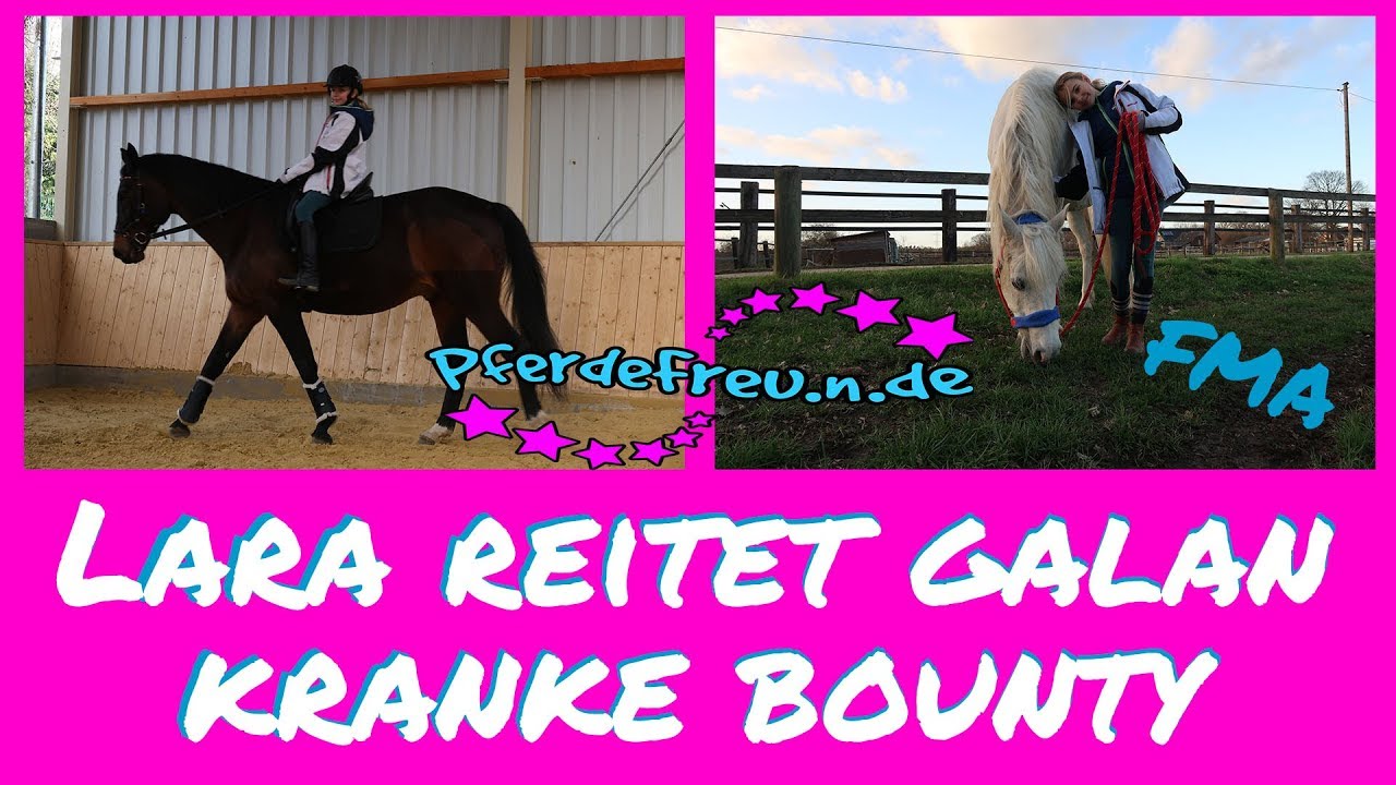 Bounty krank | Lara reitet Galan [ Pferde Freu.n.de ] FMA