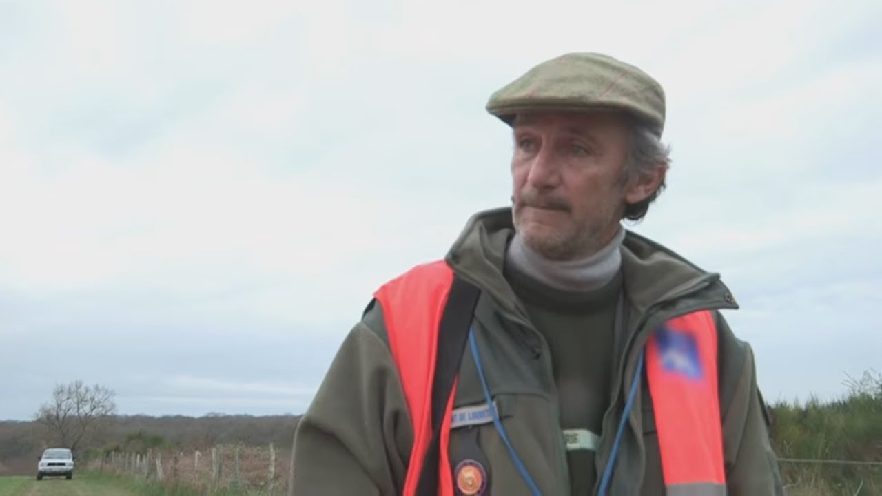 Ils luttent contre la chasse aux cerfs