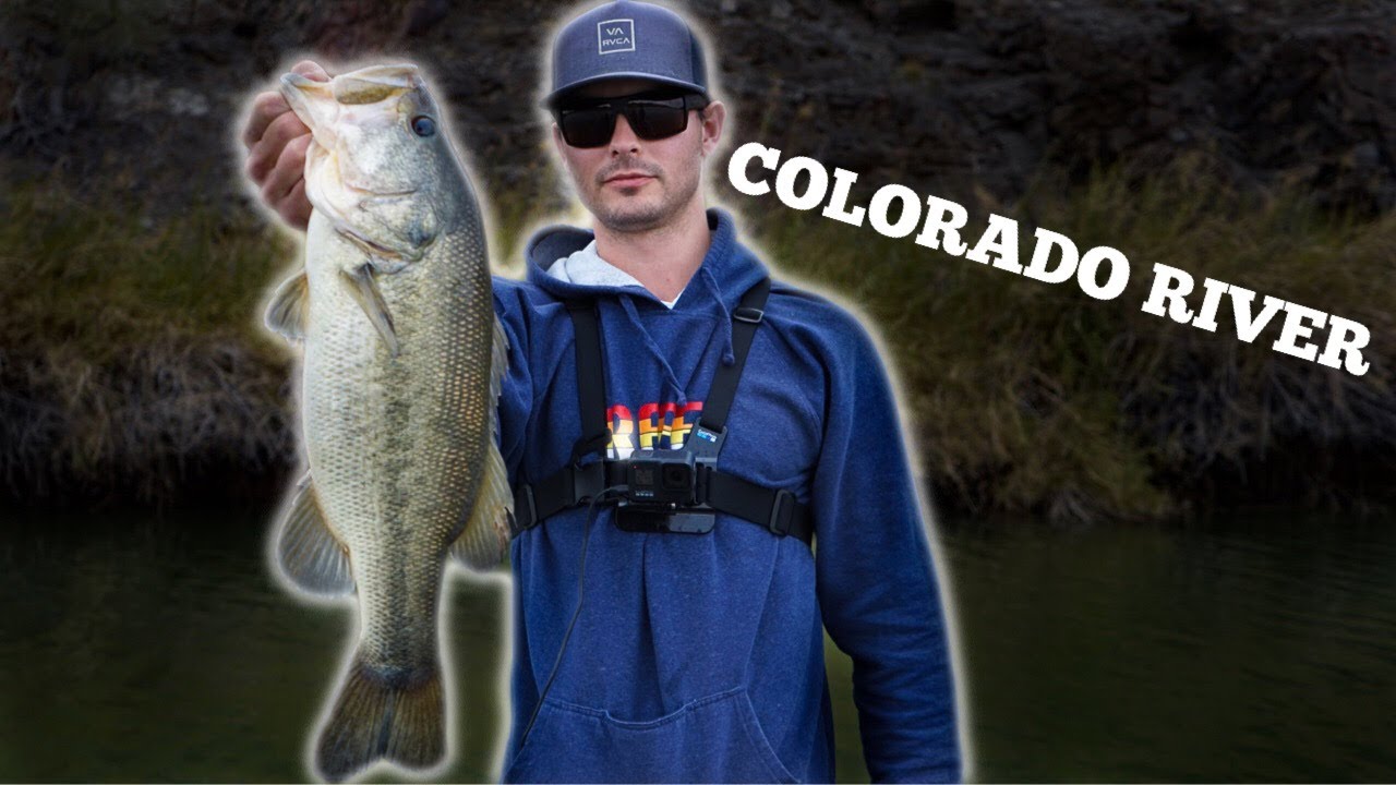 Colorado River Bass Fishing | Martinez Lake