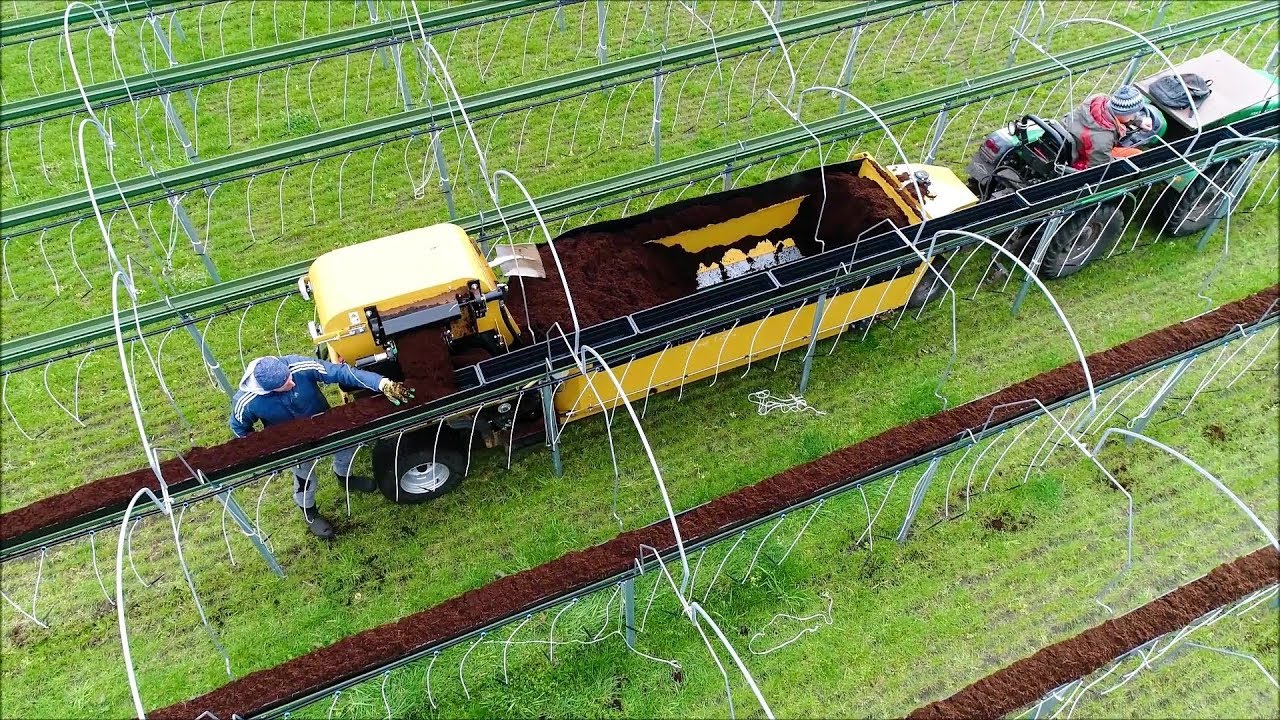 Aardbeistellingen vullen / Filling strawberry racks / Erdbeeren stellagen füllen / Chantrel Agri