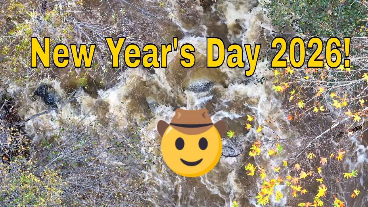 Celebrating New Year's Day 2026