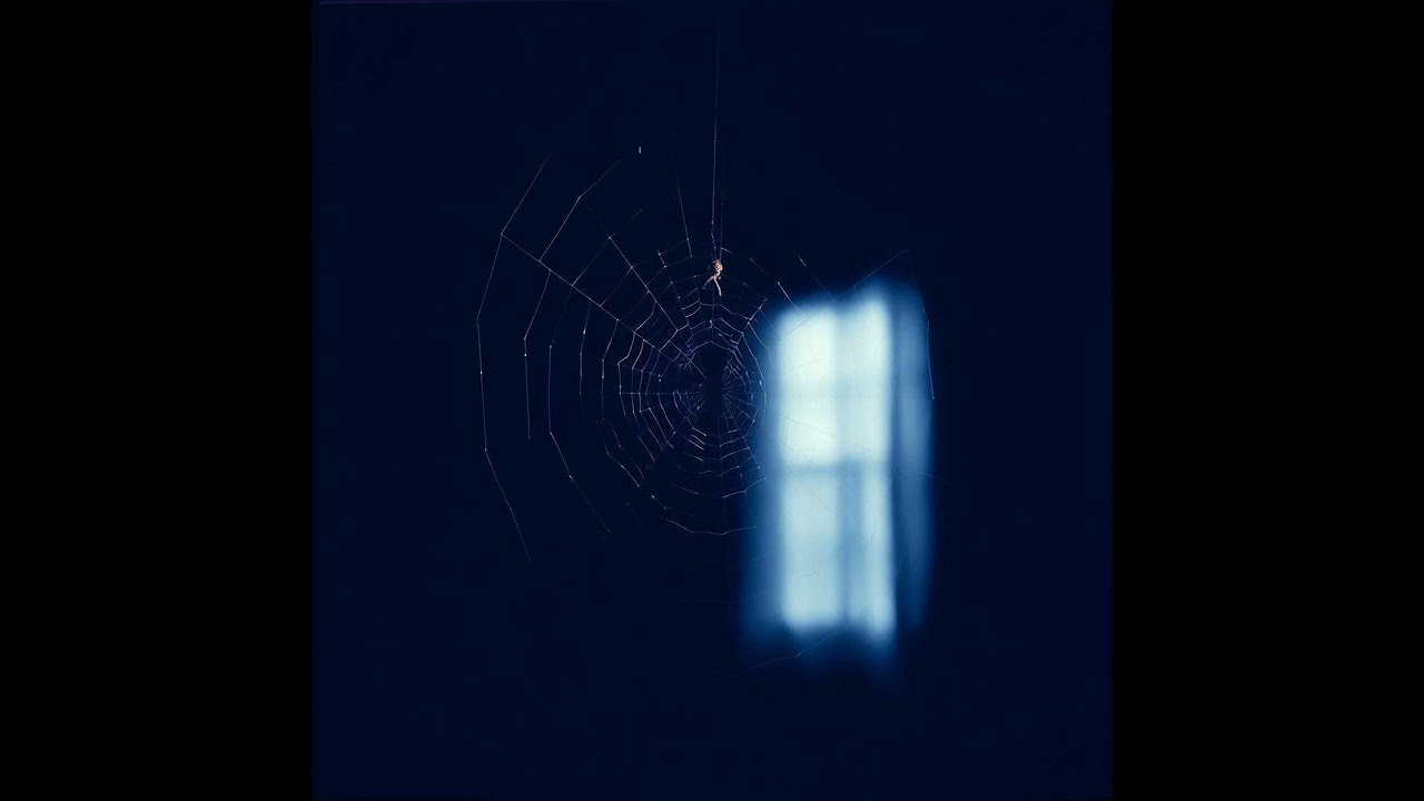 Ternes - Jamais