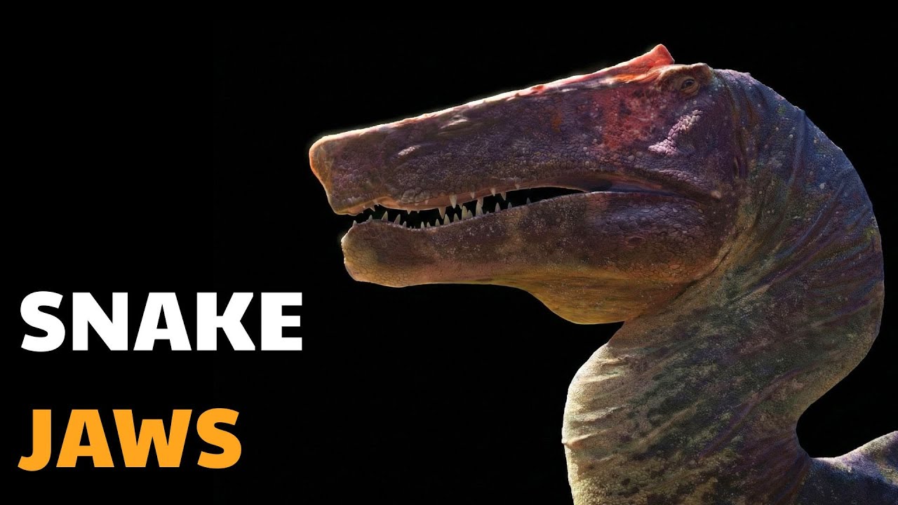 THE MOST ANNOYING DINOSAUR? The Strange Story of Irritator!