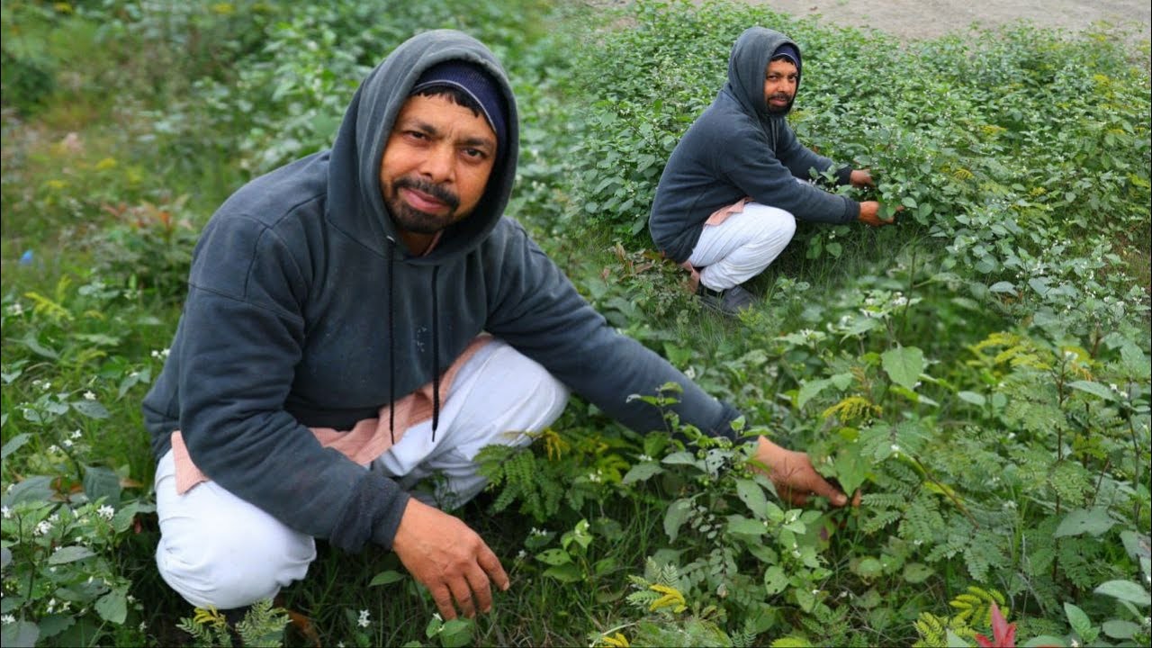ऐसे बनाओगे तो बार बार खाओगे सोया साग की मजेदार सब्जी। soya saag ki sabji। soya saag Soya Saag Aalu