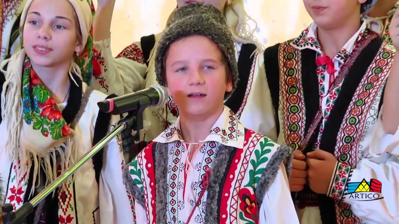 GERAR - PE-UN PICIOR DE PLAI, PASCANI, HANCESTI