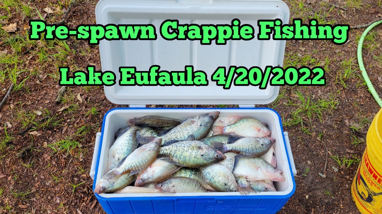 Pre-spawn Fishing Lake Eufaula Day 3
