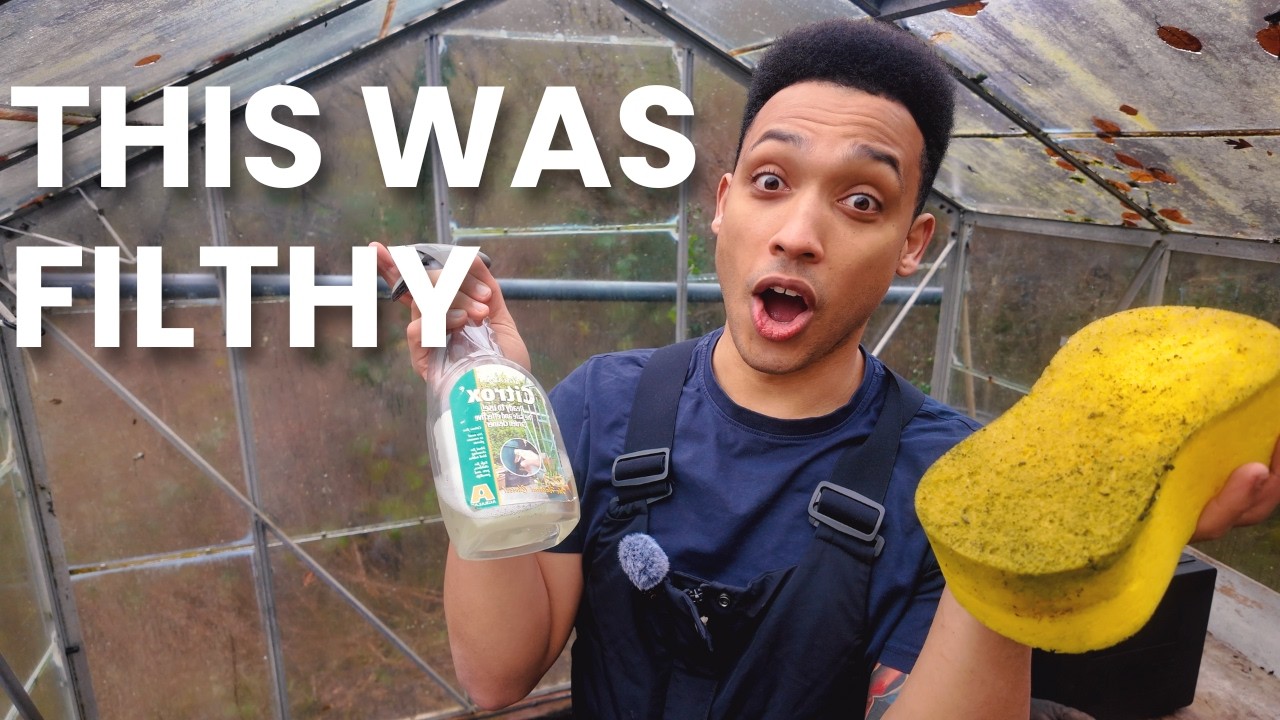 Cleaning the Greenhouse & Claiming a Corner | Day 5