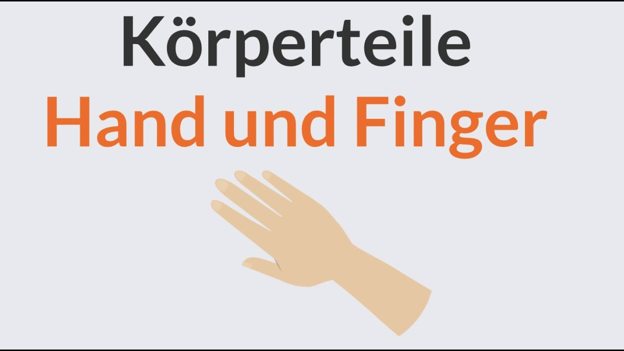 Deutsch lernen | Wortschatz | Hand und Finger | Körperteile | Körper | A1 | A2 Body parts vocabulary