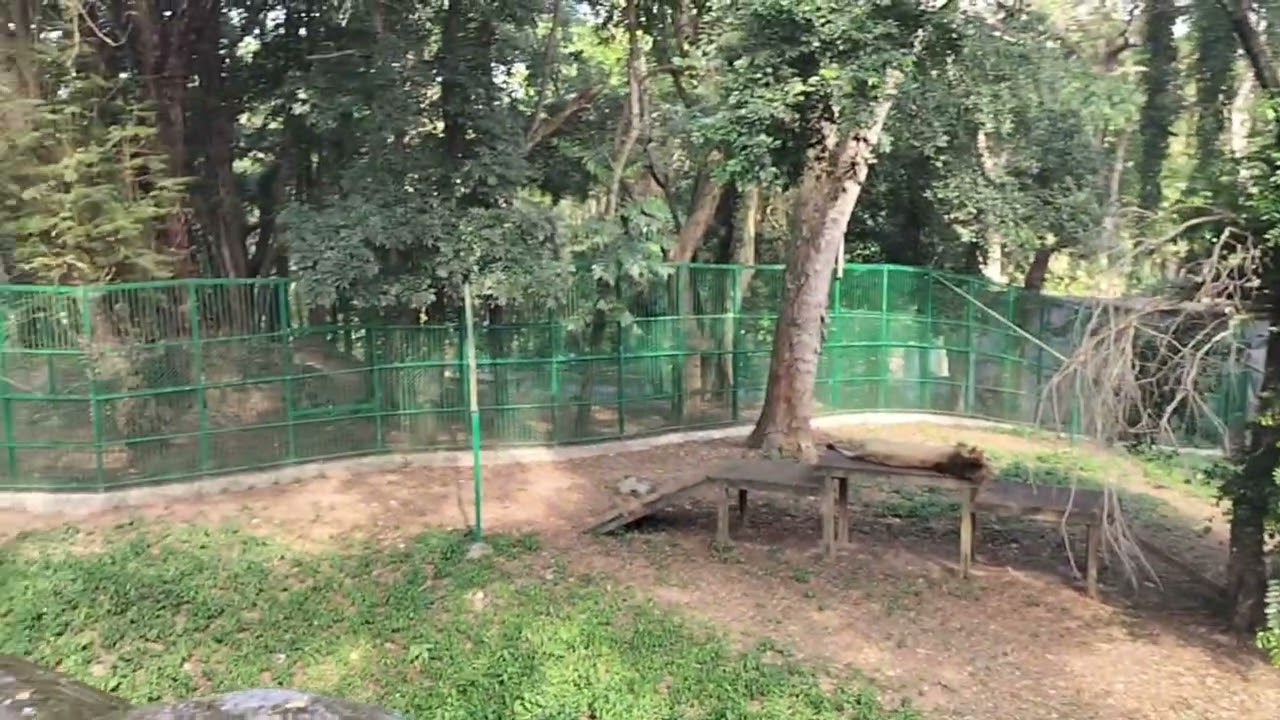 Kerala Zoo Tour 🌿 | Wildlife Beauty of Kerala