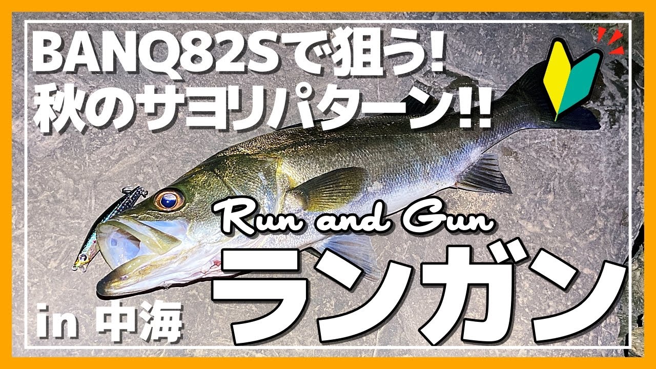 【中海シーバス】BANQ（バンク）82Sで狙う！秋のランガンサヨリパターン【実釣編】