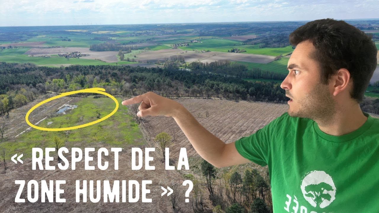Coupes rases d'Alliance Forêt Bois : Canopée ment ?