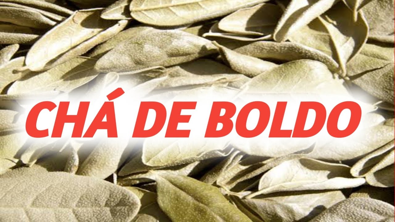 THE BENEFITS OF BOLDO TEA