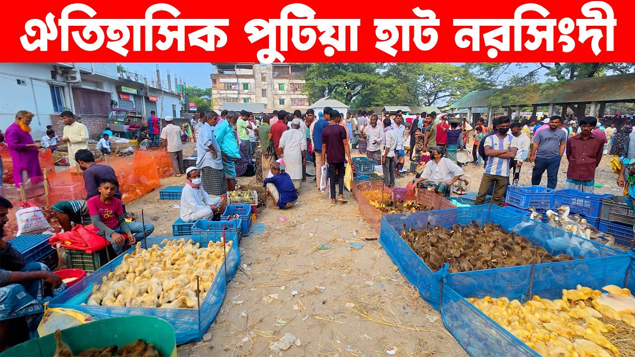 ঐতিহাসিক পুটিয়া হাট নরসিংদী || Traditional Village Market In Bangladesh || Putia hat Narsingdi