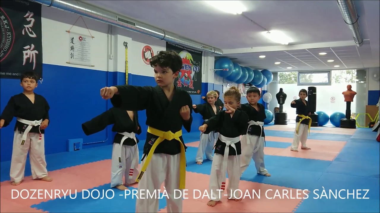 DOZENRYU DOJO - RESUM CURS INFANTIL 17-18