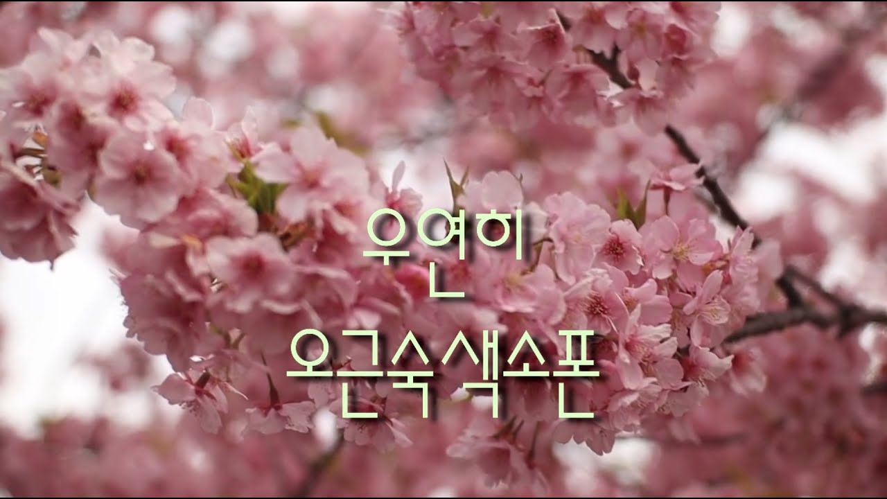 우연히 - 오근숙색소폰