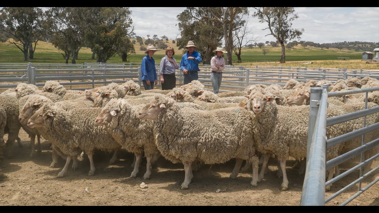 Worm control in livestock
