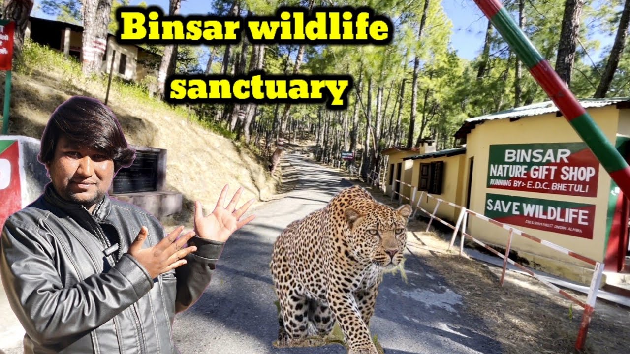 Binsar Wildlife Sanctuary | Zero Point |क्या यहां जाना चाहिए? | Almora | Part 1