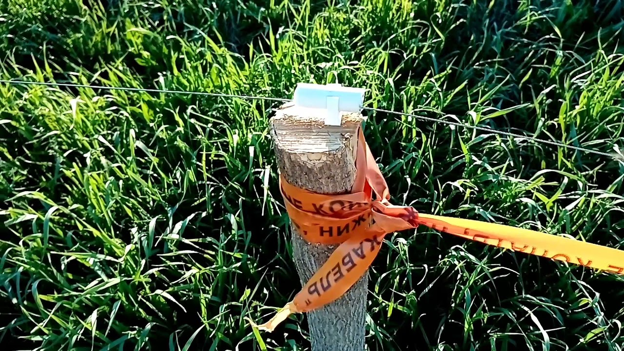 Электро пастух Статик-3м отзыв