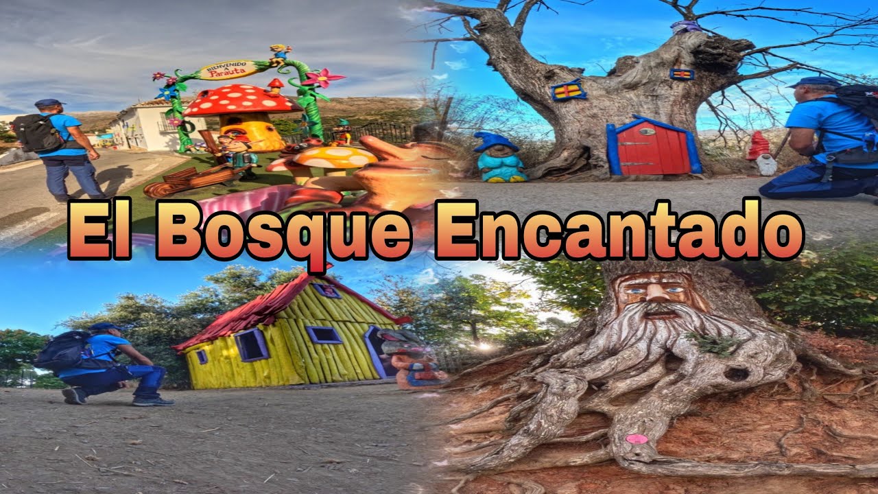 El Bosque ENCANTADO de PARAUTA en otoño